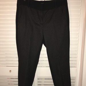 LOFT Petite Women’s Straight Leg Pants